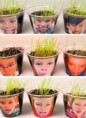 /album/projetos-de-ciencias/ciencias-e-o-dia-da-primavera-jpg/